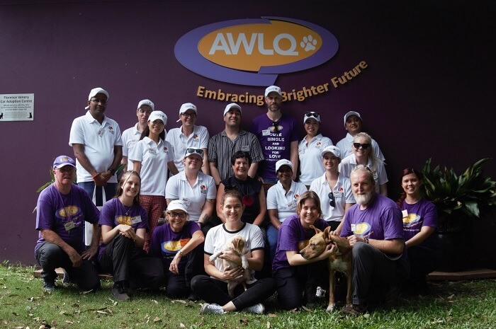 The Lottery Office team volunteering at AWLQ