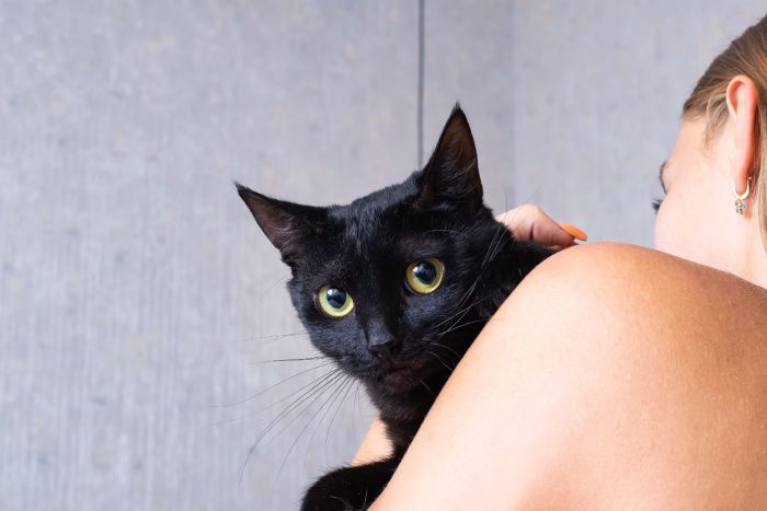Black cat on woman's shoulder